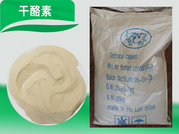 干酪素