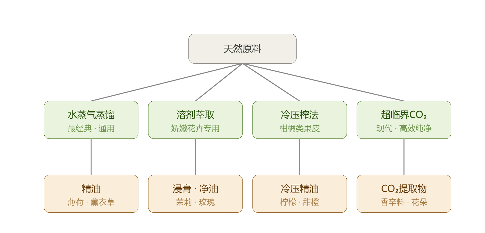 天然提取的四种方法.png